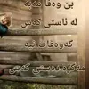 user7310786773853