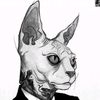 lord_pandy