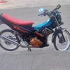 edz_asis_loro