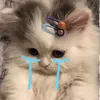 princefish7