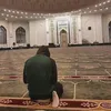 aliamir.rezai