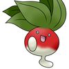 jontheradish