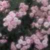 marimo0802