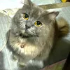 margie_792