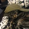 gusguss444