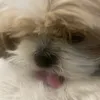 tianna_rose_123