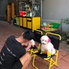 Kênh Của Ba Chó