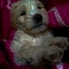 kathy_98_091998