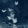 whataboutme55_