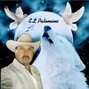 palomito71_alasblac_icel