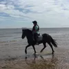 theylovedarcey