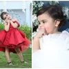 maryamfadel2