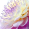 usertc9glf76hu
