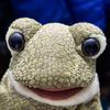 froggytok1