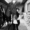 abbys.eqq