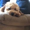 liam_mackay138
