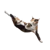 kang_king_kung_bay