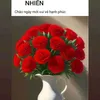 123456789phuong010