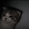 るぅ