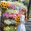 thanhtrang_945