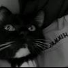 luvpinknrhkmh