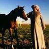 ماجد الشمري
