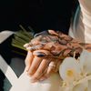 soomaliwedding
