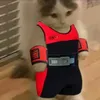 bdrnathan_