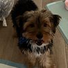 eat_ass6.6.6