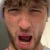 paulprclark