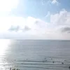 ntam11.8