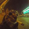 kolya_228p