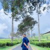 juliussilalahi20