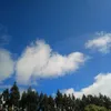 eu_juliaalves67
