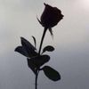 ًســطام ًالساهري