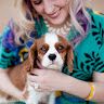 Rachel | pottery + cavaliers