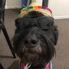 joshie_nz