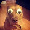 i_need_help229