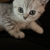 cassy1187