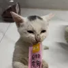 mthu5tuoi