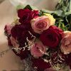 x_noura1