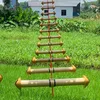 tuanvu1110dzai