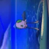 edz_backup