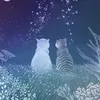 kattpya