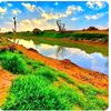 alshalni8