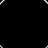 aa.ss.15