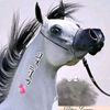 شاعر الشرق 2
