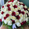 fatimazahro489