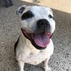 caspathestaffy