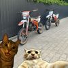 nazarko_80